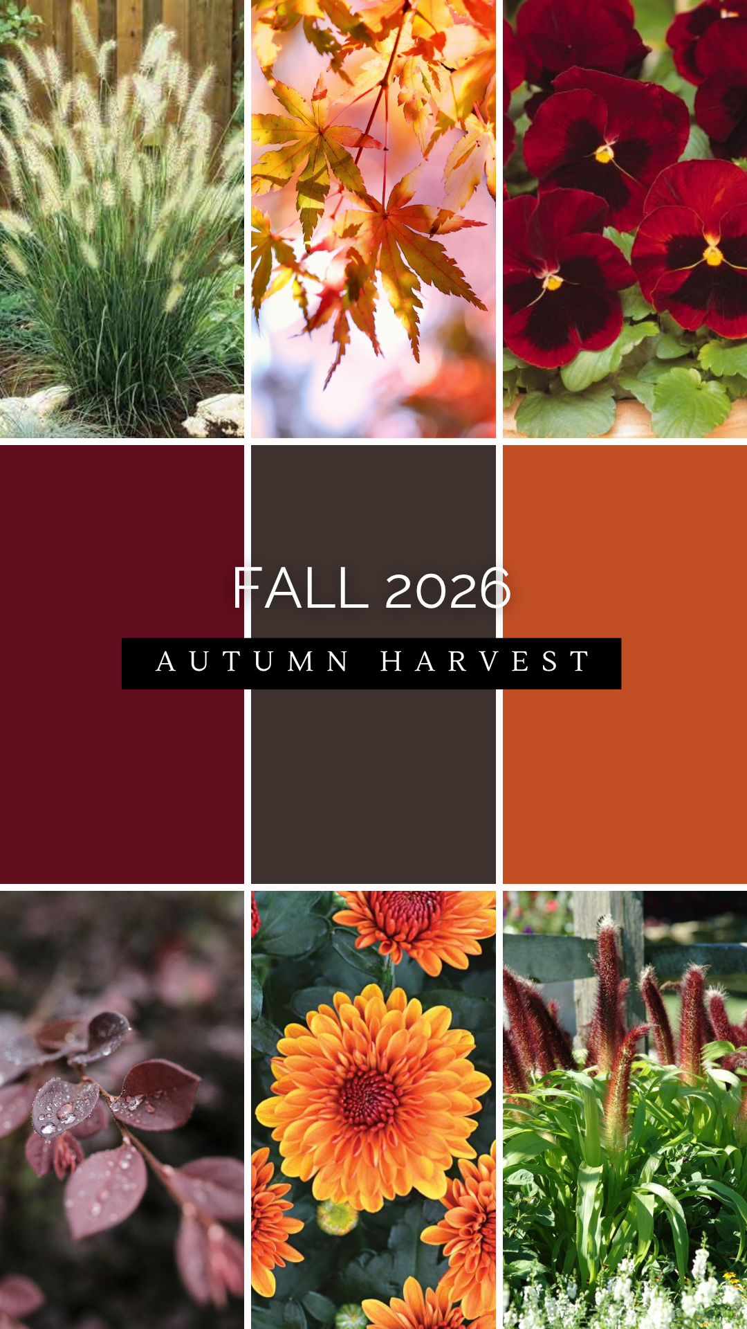 Fall Drop-In Planter Insert - Image 2