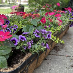 Custom Summer Planter